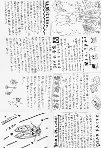 2026-08-next-cats-zine poster